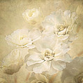 Antique Floral